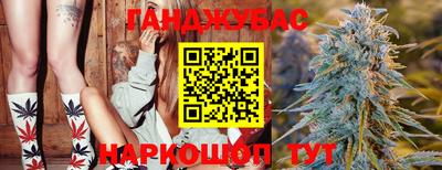 гашик Малгобек
