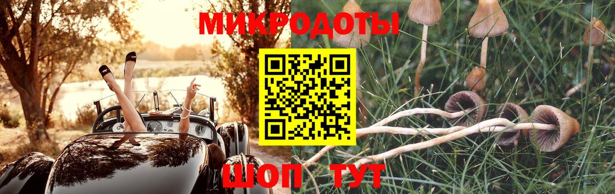 Ефремов  Псилоцибиновые грибы Magic Shrooms  Вход с VPN  Галлюциногенные грибы Psilocybine cubensis 